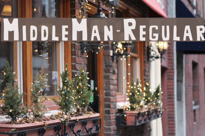 MiddleMan-Regular Font examples