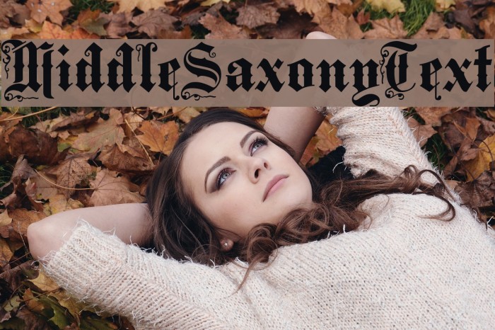MiddleSaxonyText Font examples