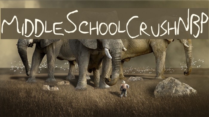 MiddleSchoolCrushNBP Font examples