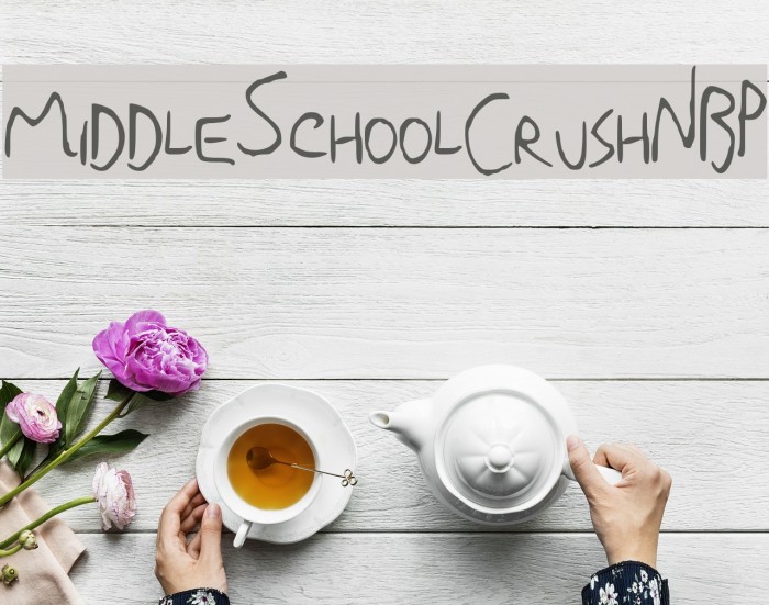 MiddleSchoolCrushNBP Font examples