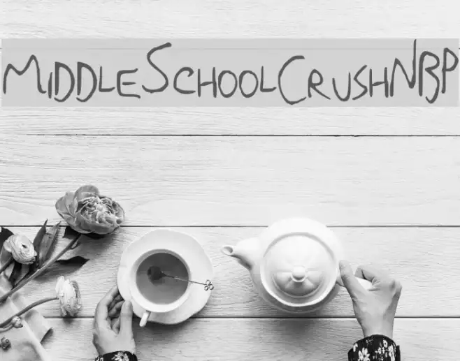 MiddleSchoolCrushNBP Example 2