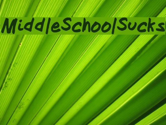 MiddleSchoolSucks Font examples