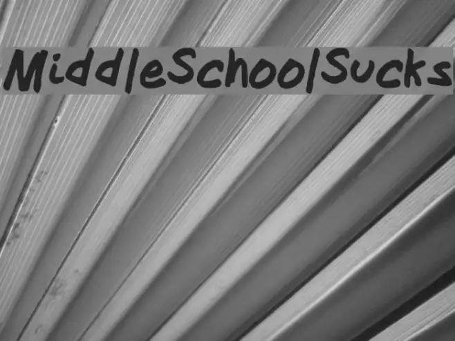 MiddleSchoolSucks Example 2