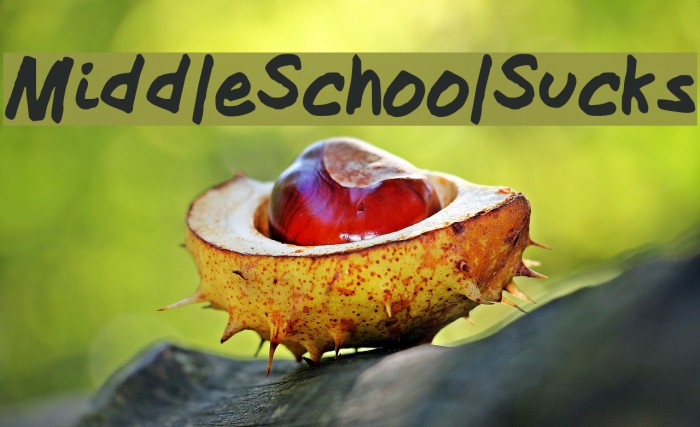MiddleSchoolSucks Font examples