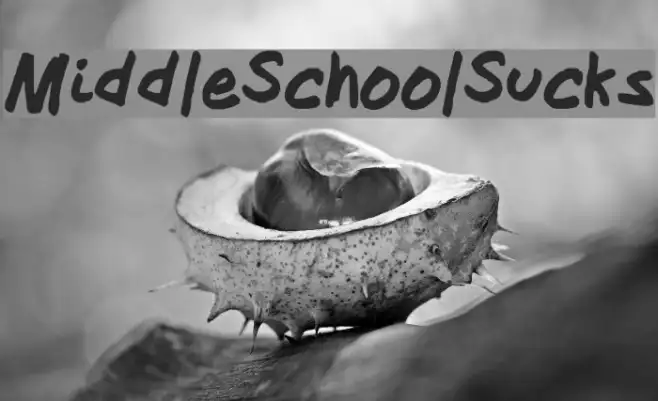 MiddleSchoolSucks Example 3