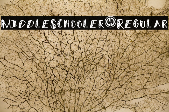 MiddleSchooler-Regular Font examples