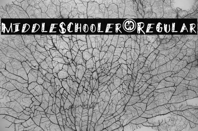 MiddleSchooler-Regular Example 1
