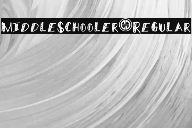 MiddleSchooler-Regular Example 2