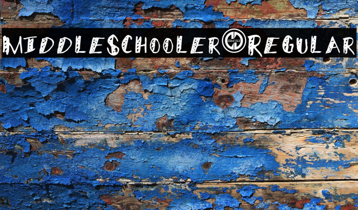 MiddleSchooler-Regular Font examples