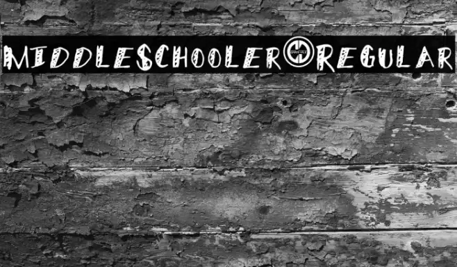 MiddleSchooler-Regular Example 3