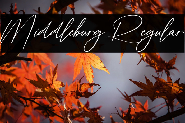 Middleburg Regular Example 1