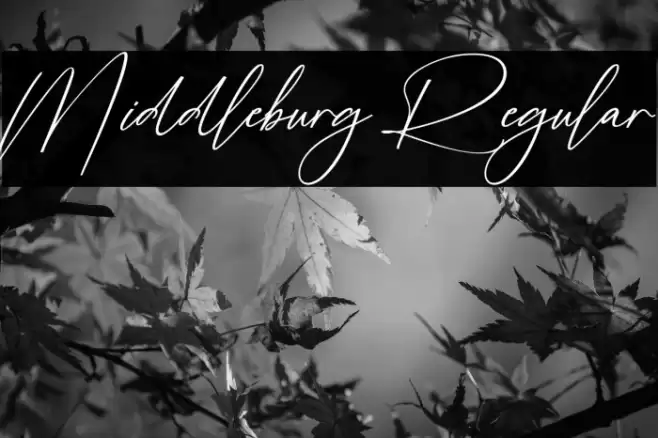 Middleburg Regular Font examples