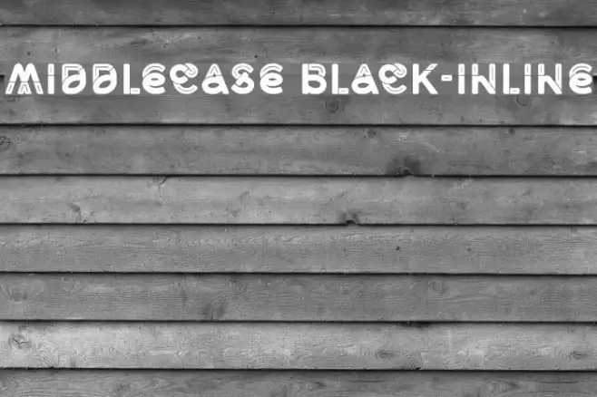 Middlecase Black-Inline Example 2