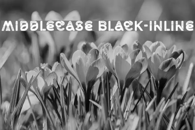 Middlecase Black-Inline Example 3
