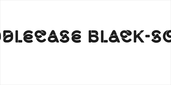 Middlecase Black-Solid Logo
