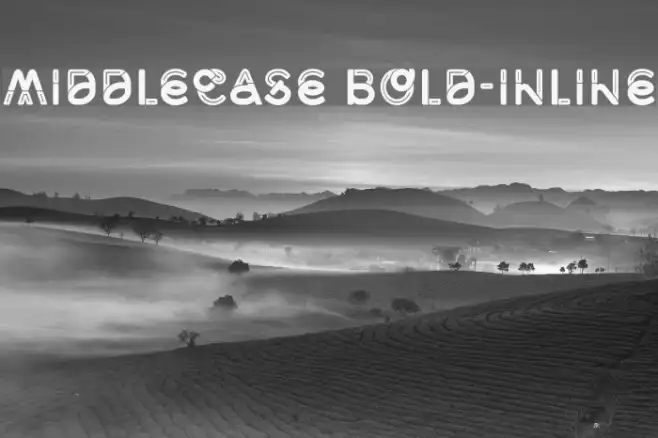 Middlecase Bold-Inline Example 1