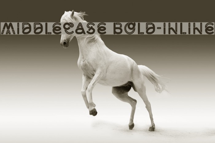 Middlecase Bold-Inline Font examples
