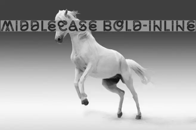 Middlecase Bold-Inline Example 2