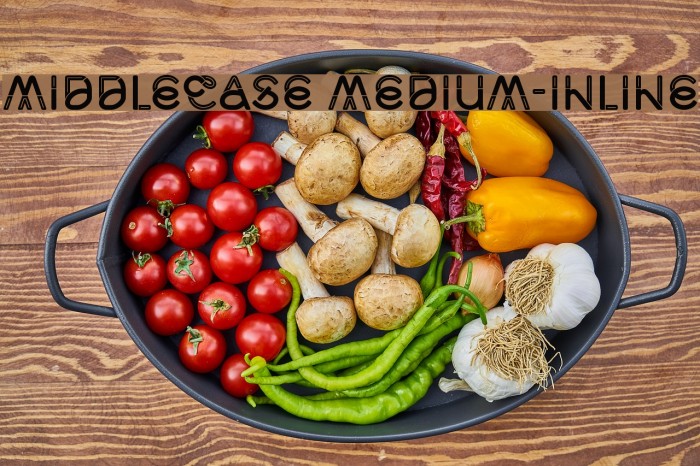 Middlecase Medium-Inline Font examples