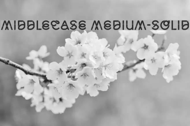 Middlecase Medium-Solid Font examples