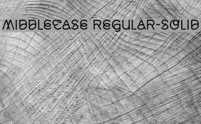 Middlecase Regular-Solid Font examples
