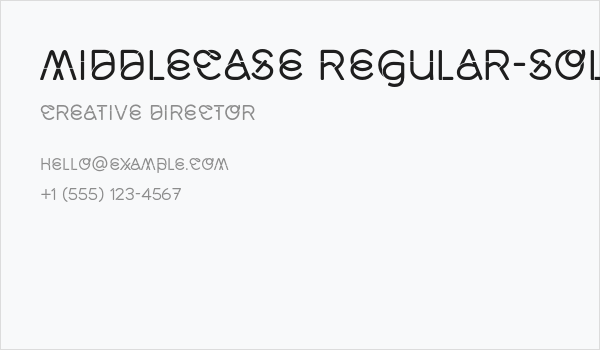 Middlecase Regular-Solid Business Card