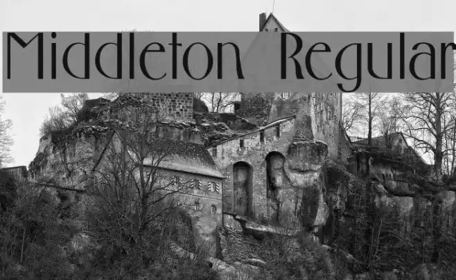 Middleton Regular Example 2