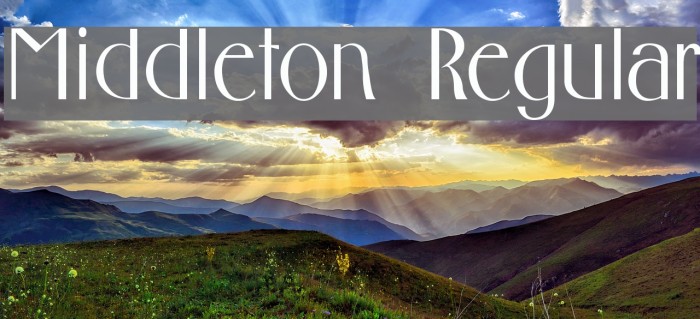 Middleton Regular Font examples