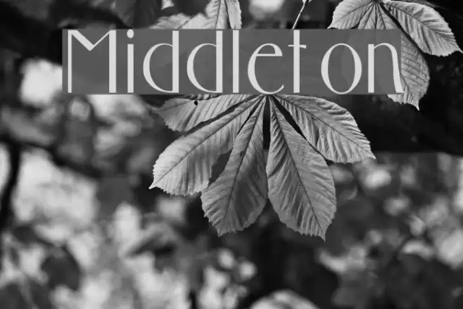 Middleton フォント examples