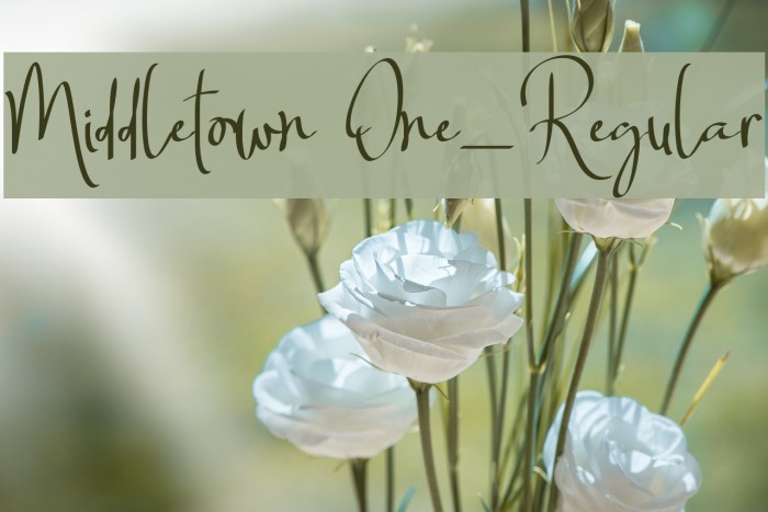 Middletown One_Regular Example 1