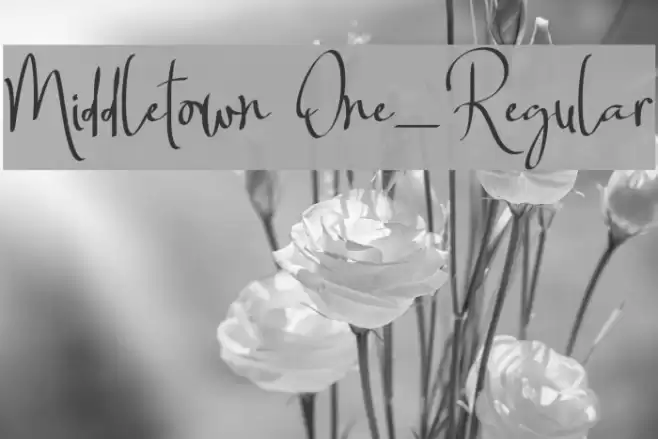 Middletown One_Regular Font examples