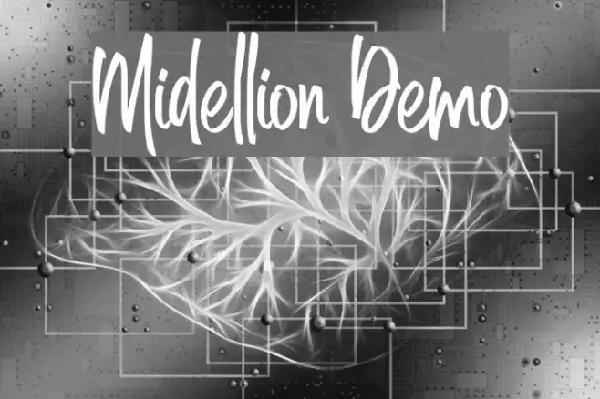 Midellion Demo Example 1