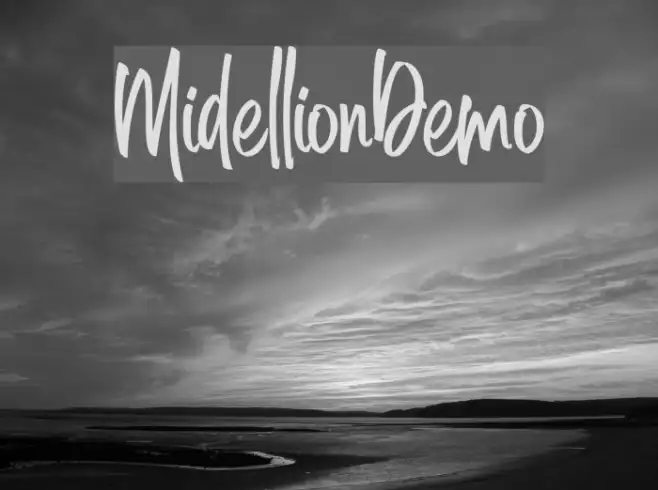 MidellionDemo Example 2