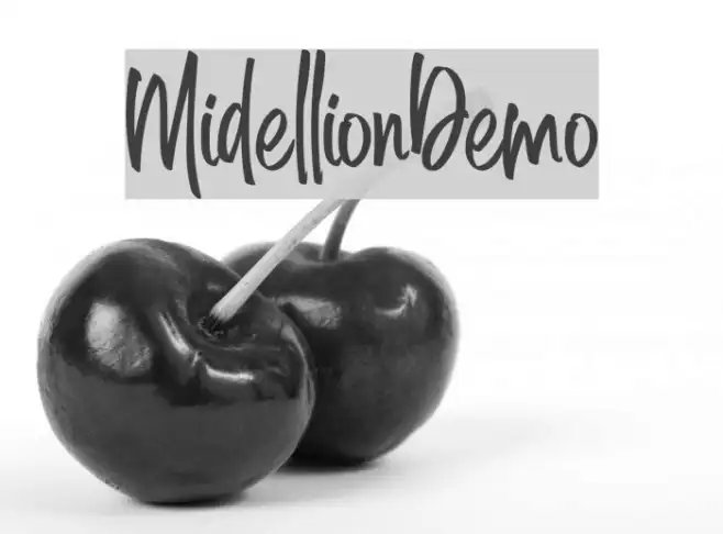 MidellionDemo Example 3