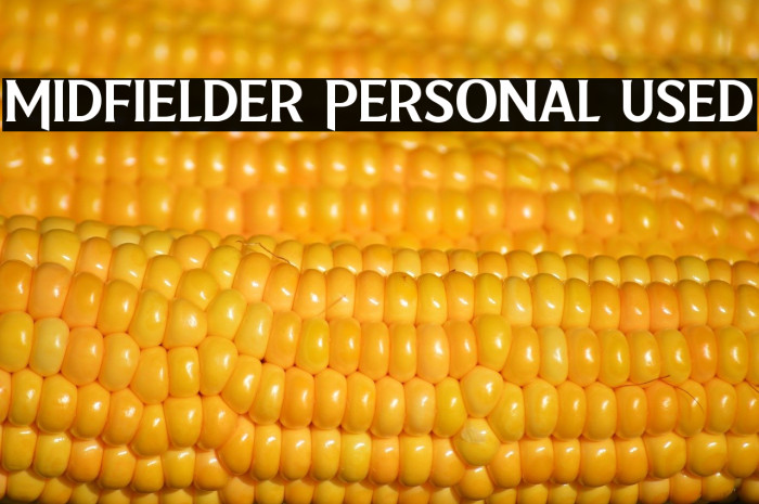 Midfielder Personal Used Example 1