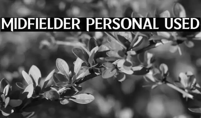 Midfielder Personal Used Example 3