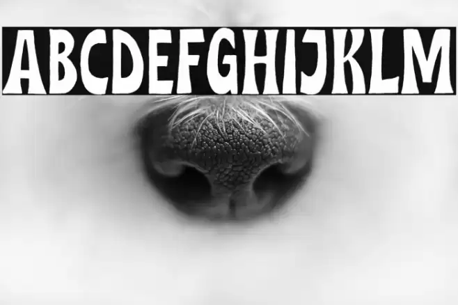 MidgetoDEMO-Regular Font examples