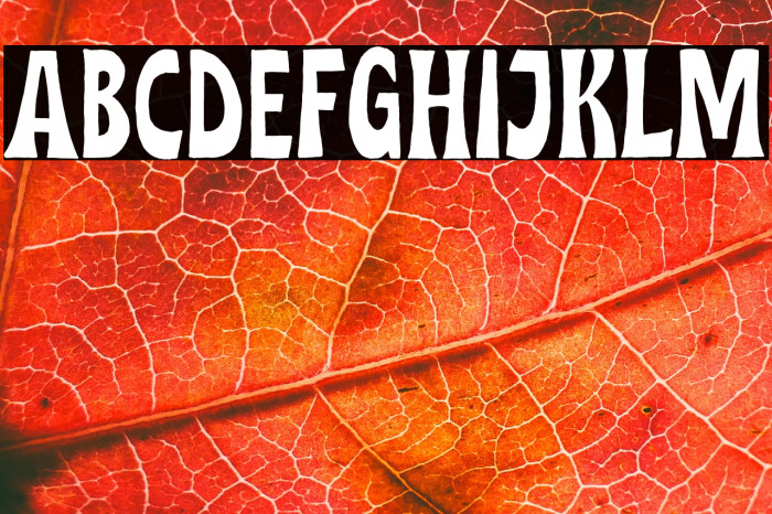 MidgetoDEMO-Regular Example 3