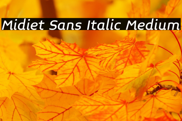 Midiet Sans Italic Medium Font examples
