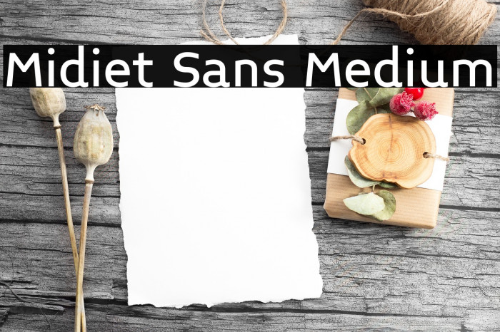 Midiet Sans Medium Font examples