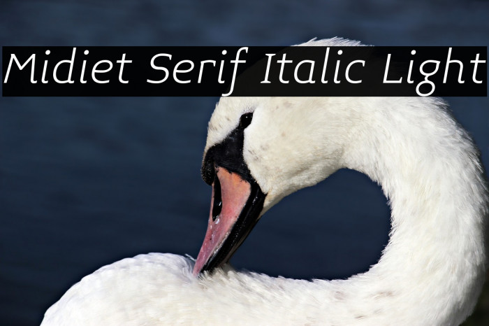 Midiet Serif Italic Light Font examples