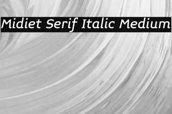 Midiet Serif Italic Medium Font examples