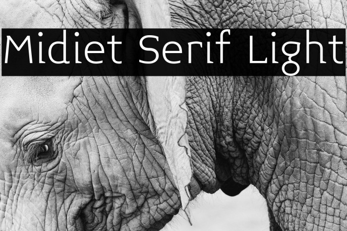 Midiet Serif Light Font examples