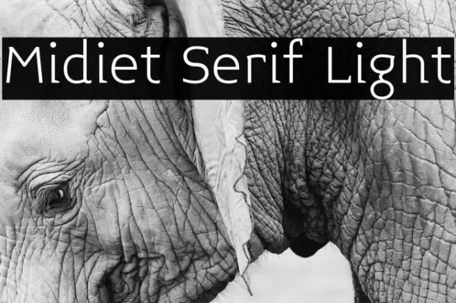 Midiet Serif Light Example 1