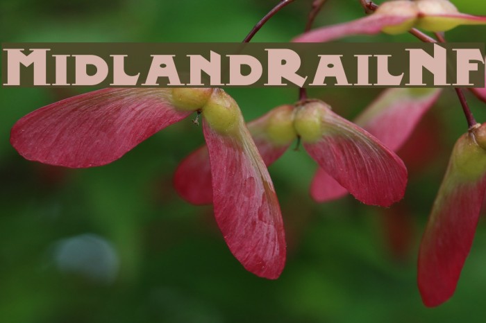 MidlandRailNF Font examples