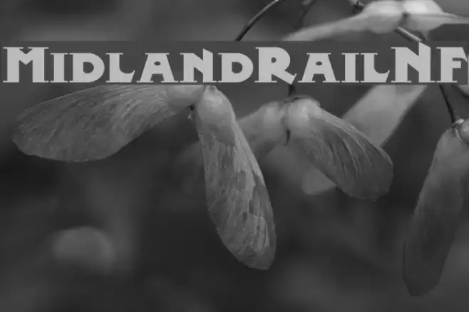 MidlandRailNF Font examples