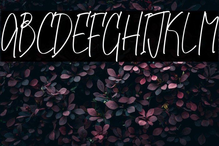 Midlenorth Constane Example 3