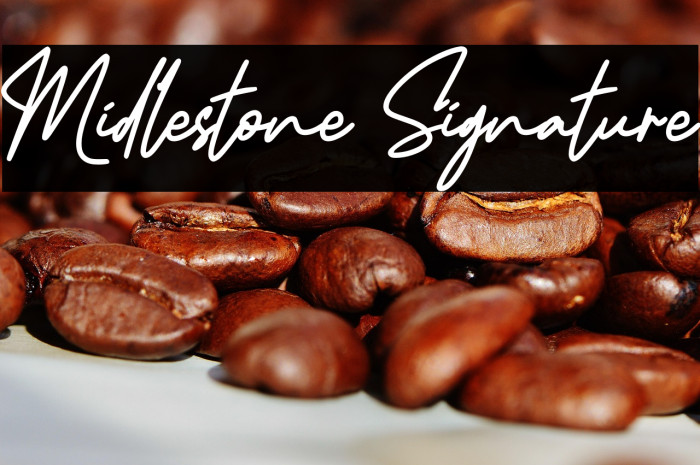 Midlestone Signature Example 1
