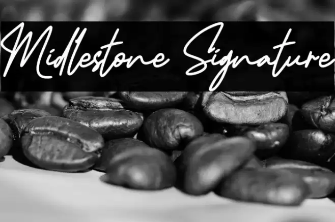 Midlestone Signature Font examples