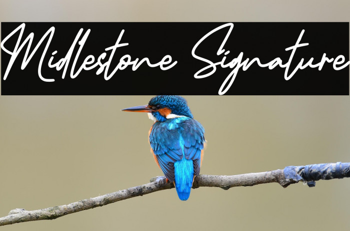 Midlestone Signature Example 2